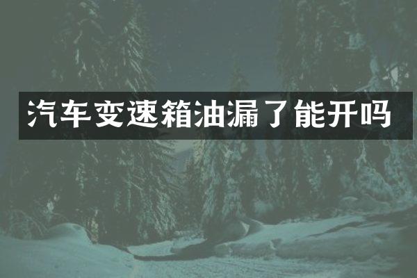 汽车变速箱油漏了能开吗