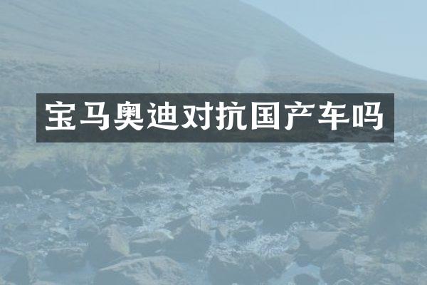 宝马奥迪对抗国产车吗