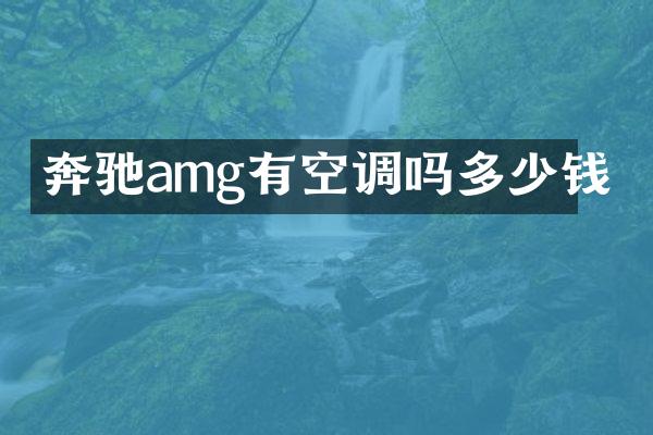 奔驰amg有空调吗多少钱