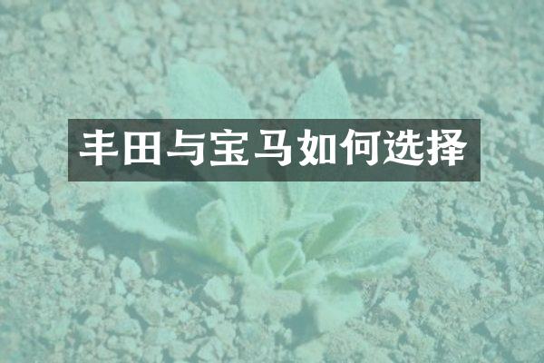 丰田与宝马如何选择