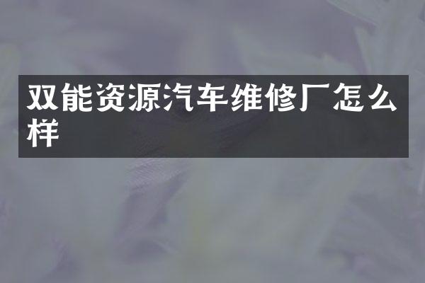 双能资源汽车维修厂怎么样