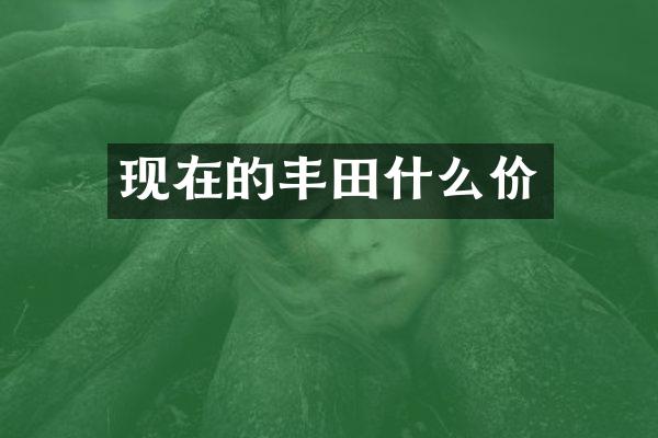 现在的丰田什么价