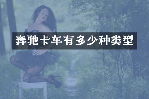 奔驰卡车有多少种类型
