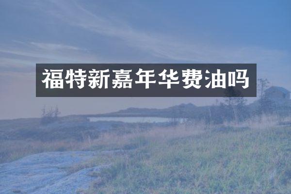 福特新嘉年华费油吗