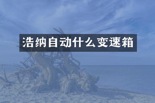 浩纳自动什么变速箱