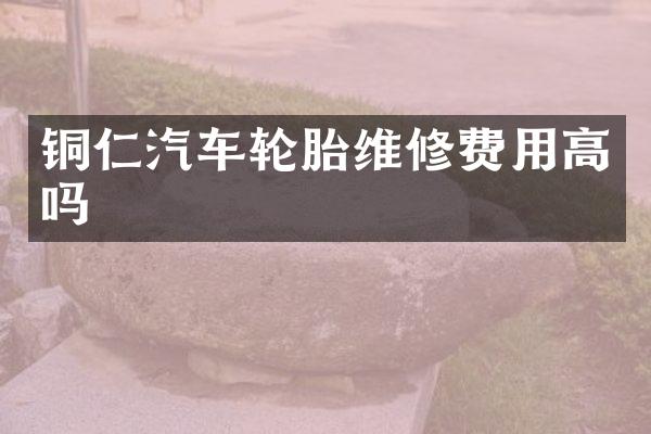 铜仁汽车轮胎维修费用高吗