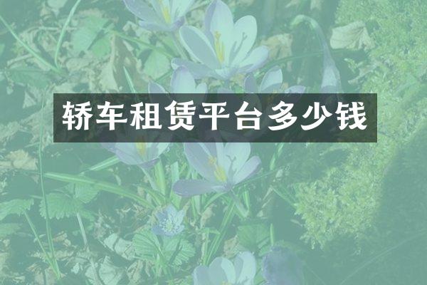 轿车租赁平台多少钱