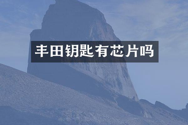 丰田钥匙有芯片吗