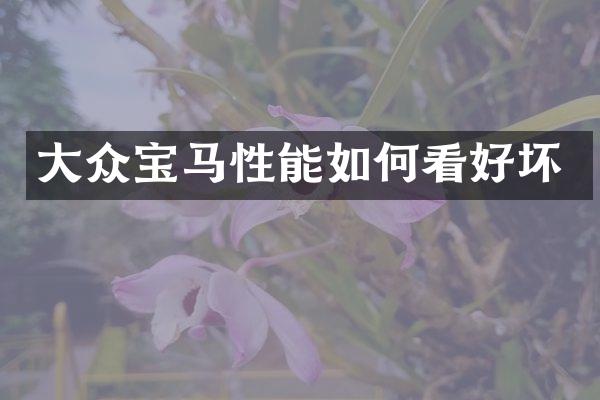 大众宝马性能如何看好坏