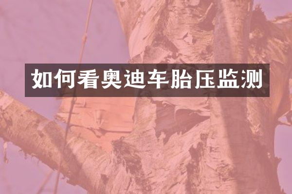 如何看奥迪车胎压监测