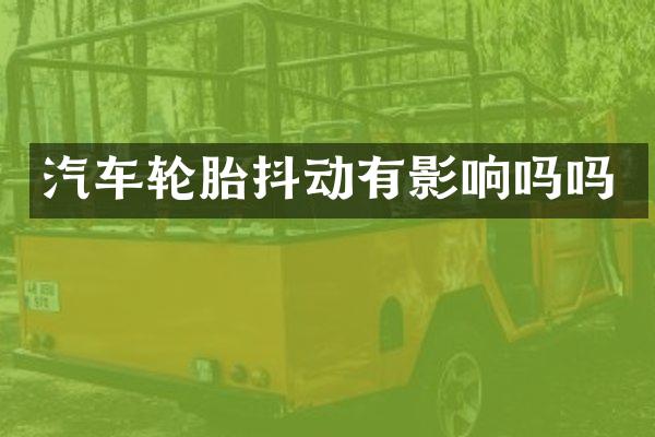 汽车轮胎抖动有影响吗吗