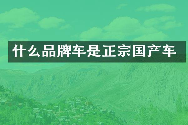 什么品牌车是正宗国产车