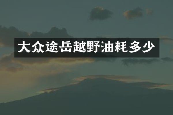 大众途岳越野油耗多少