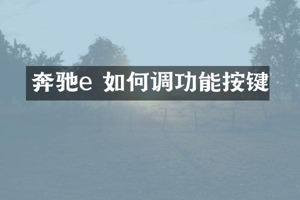 奔驰e 如何调功能按键