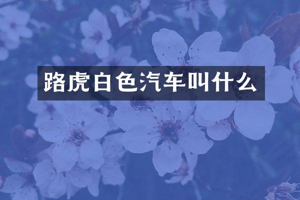 路虎白色汽车叫什么