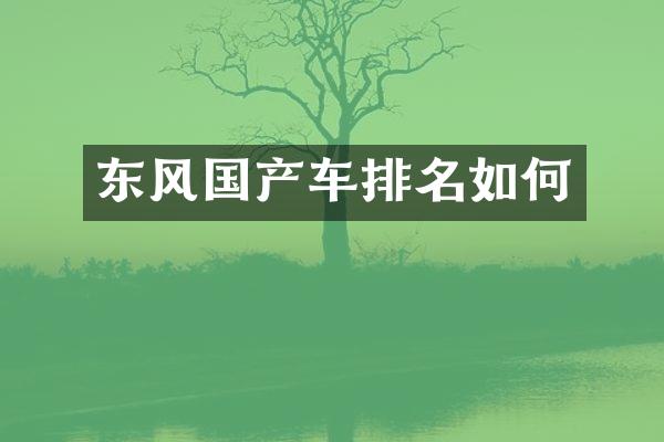 东风国产车排名如何