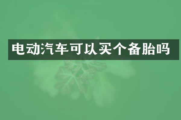 电动汽车可以买个备胎吗