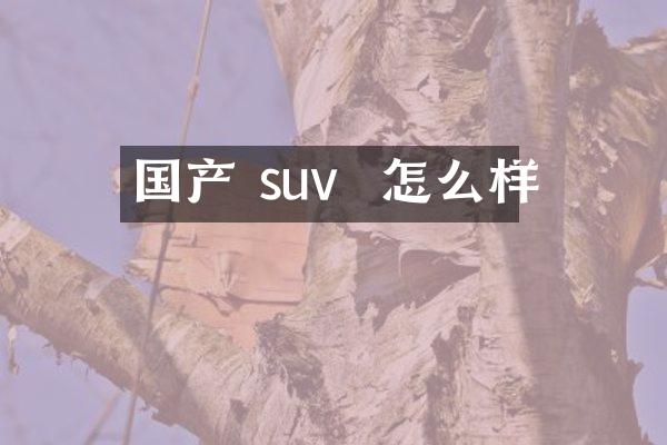 国产 suv  怎么样