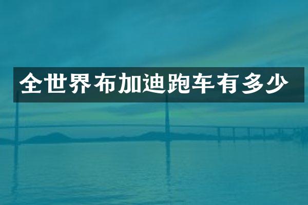 全世界布加迪跑车有多少