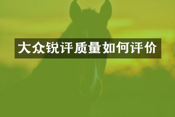 大众锐评质量如何评价