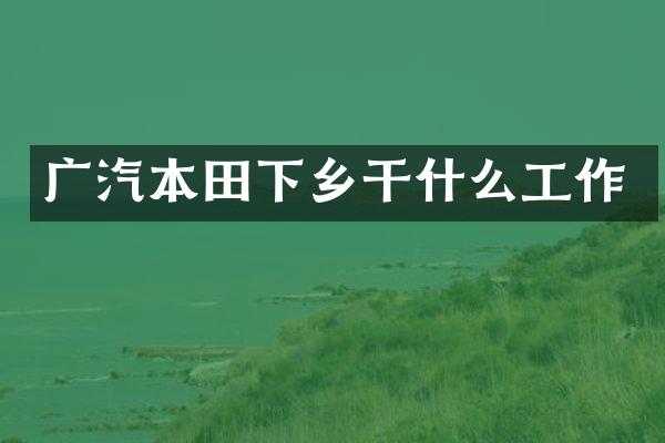 广汽本田下乡干什么工作