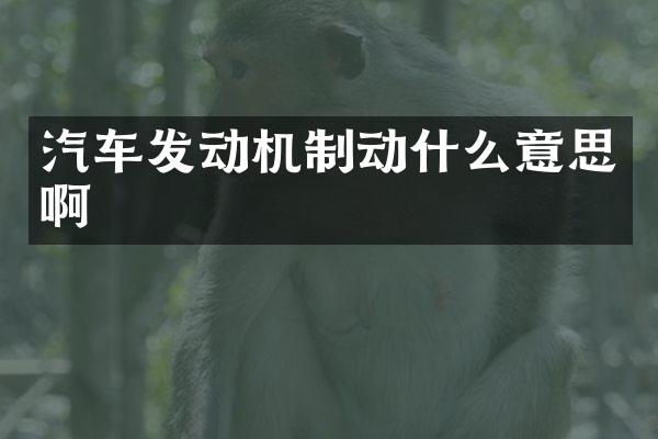 汽车发动机制动什么意思啊