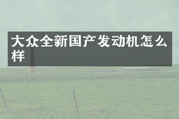 大众全新国产发动机怎么样