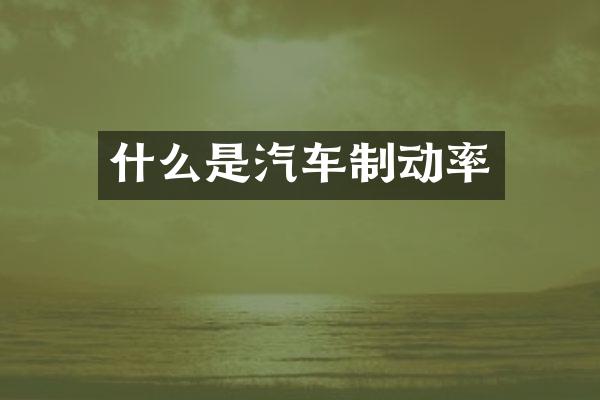 什么是汽车制动率
