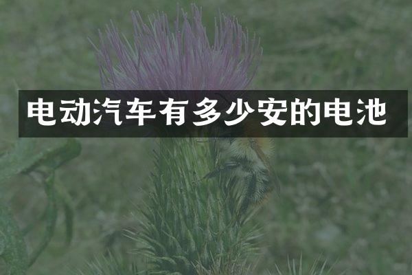 电动汽车有多少安的电池