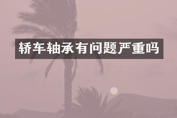 轿车轴承有问题严重吗