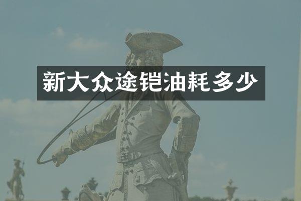 新大众途铠油耗多少