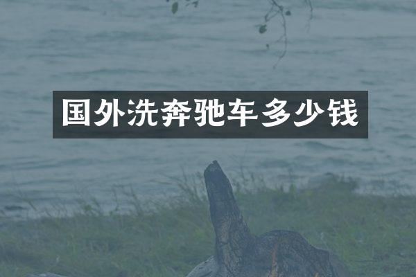 国外洗奔驰车多少钱