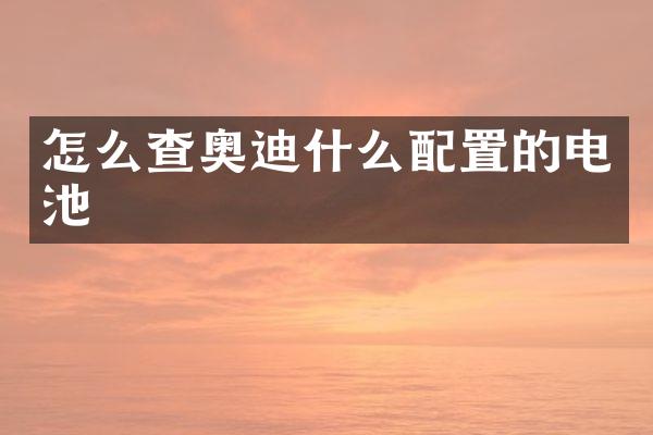 怎么查奥迪什么配置的电池
