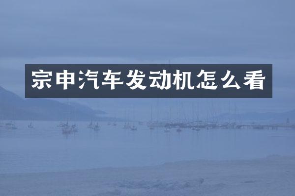 汽车发动机怎么看