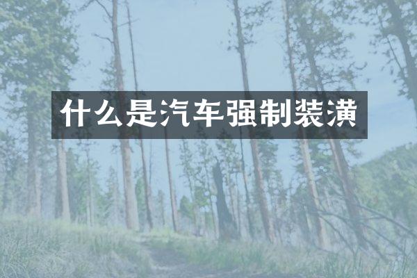 什么是汽车强制装潢