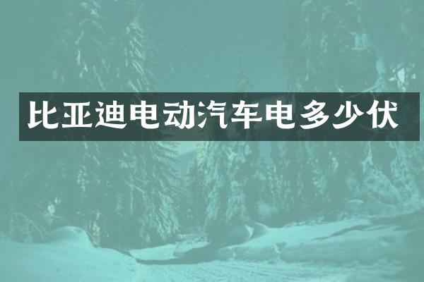 比亚迪电动汽车电多少伏
