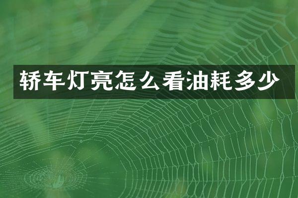 轿车灯亮怎么看油耗多少