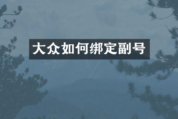 大众如何绑定副号