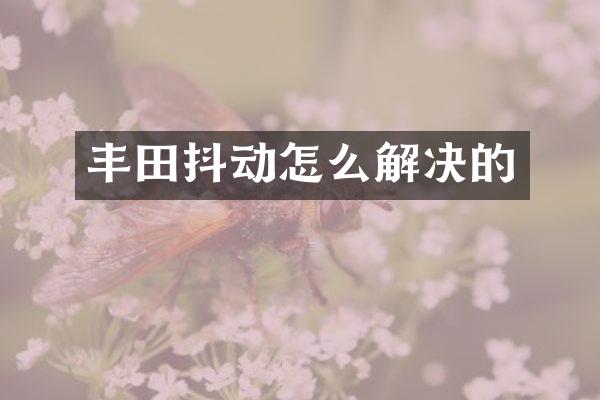 丰田抖动怎么解决的