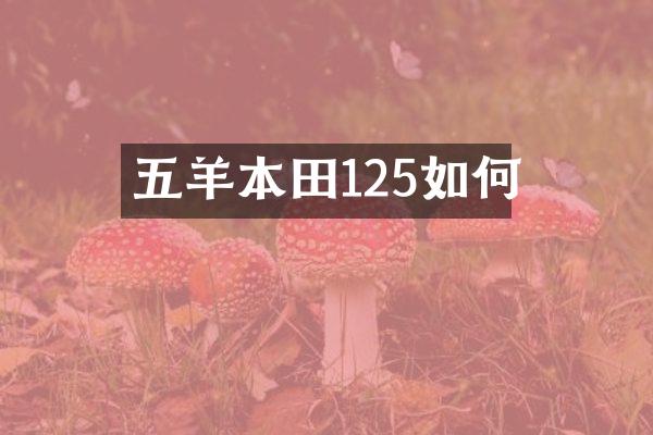 五羊本田125如何