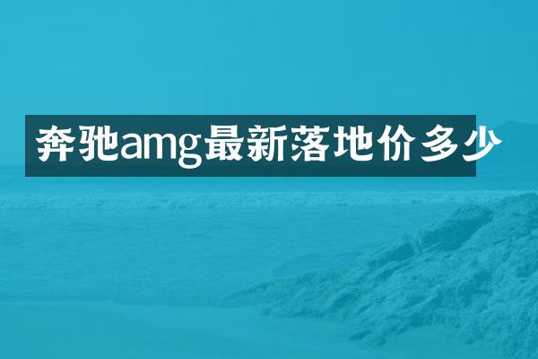 奔驰amg最新落地价多少