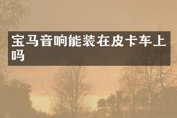 宝马音响能装在皮卡车上吗