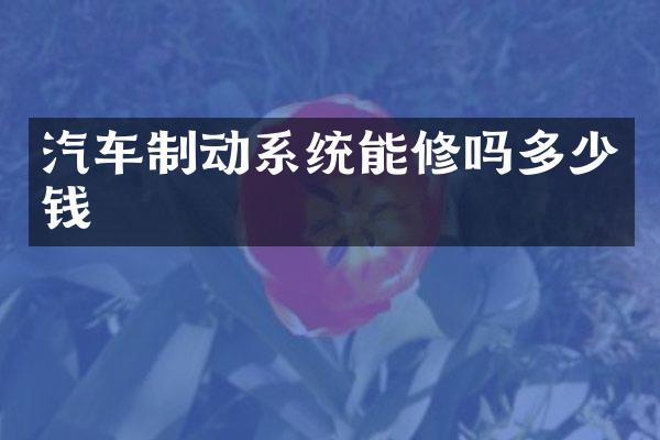 汽车制动系统能修吗多少钱