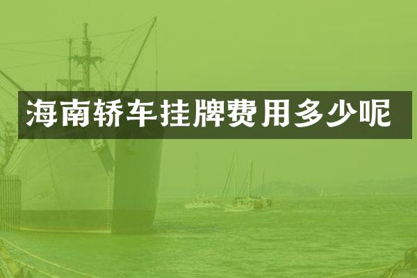 海南轿车挂牌费用多少呢