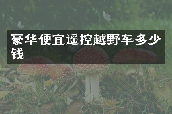 豪华便宜遥控越野车多少钱