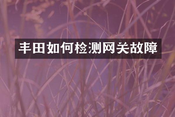 丰田如何检测网关故障