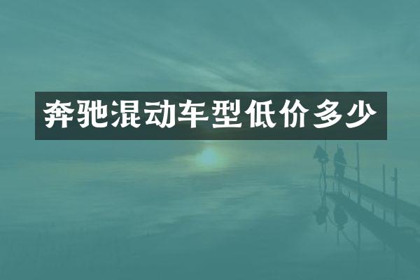 奔驰混动车型低价多少