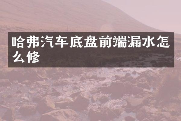 哈弗汽车底盘前端漏水怎么修