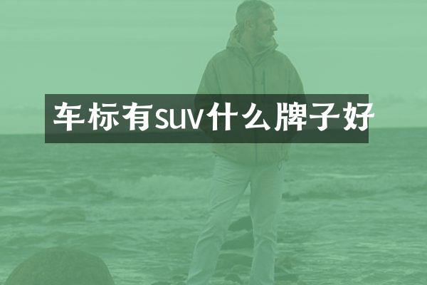 车标有suv什么牌子好