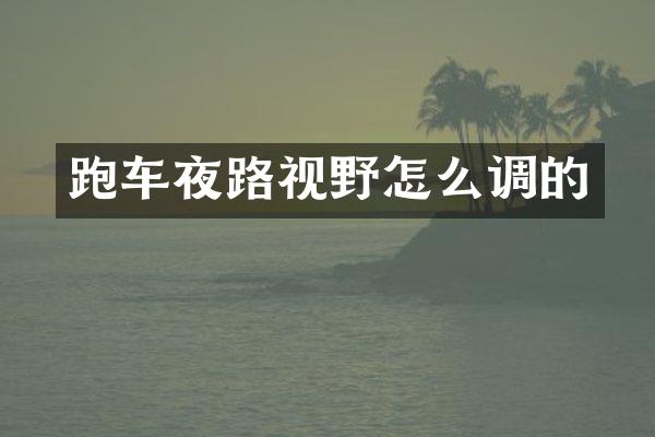 跑车夜路视野怎么调的